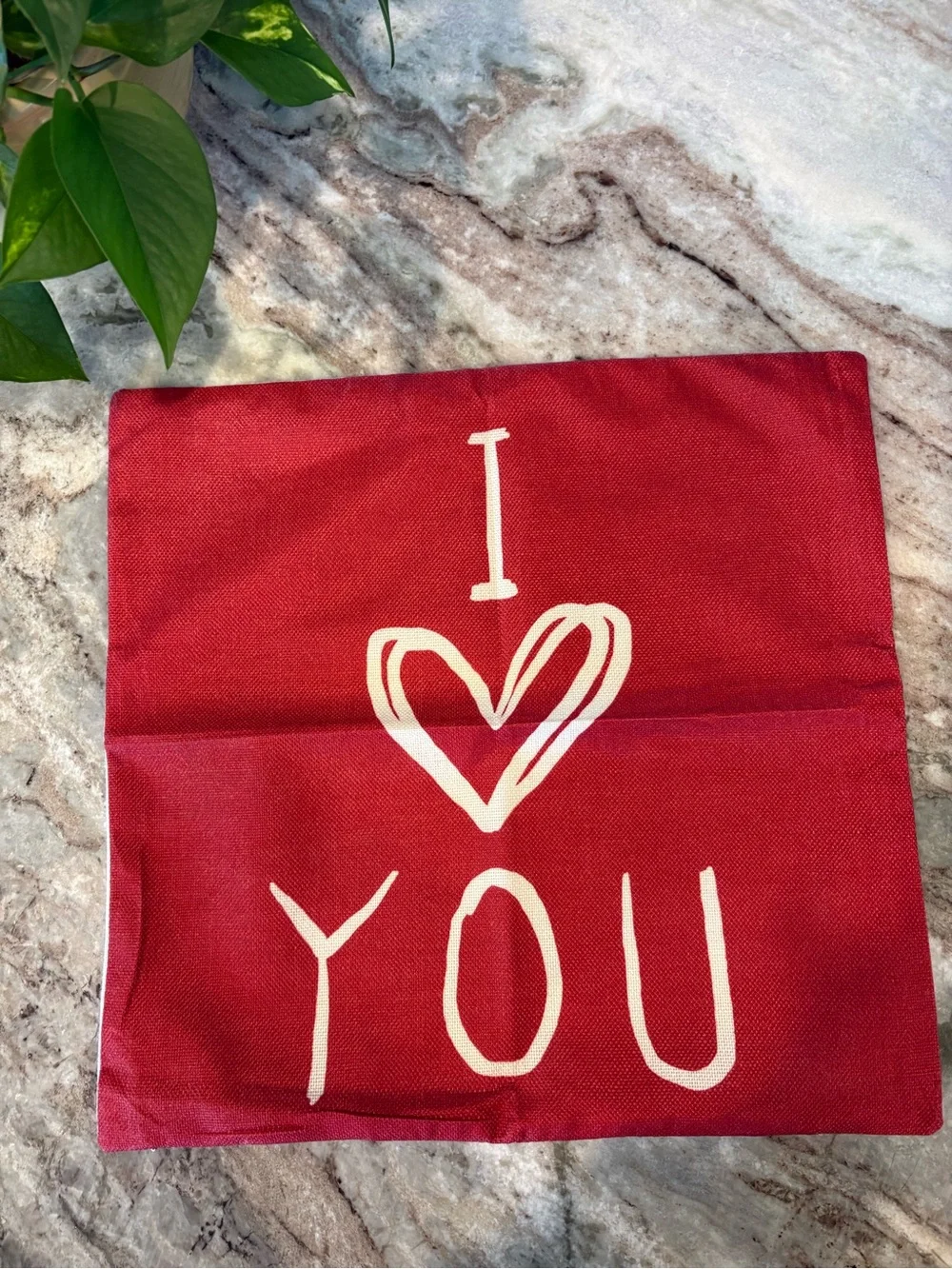 Two 18x18 Canvas Valentine’s Day Pillow Covers